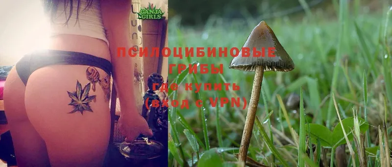 Галлюциногенные грибы Magic Shrooms  Мышкин 